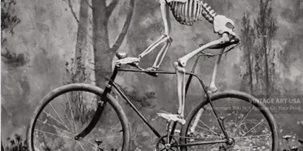 MerseyCycle Launches Spooky Halloween Dr. Bike Session