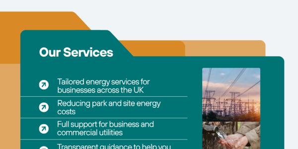 TCD what we do graphic (1)